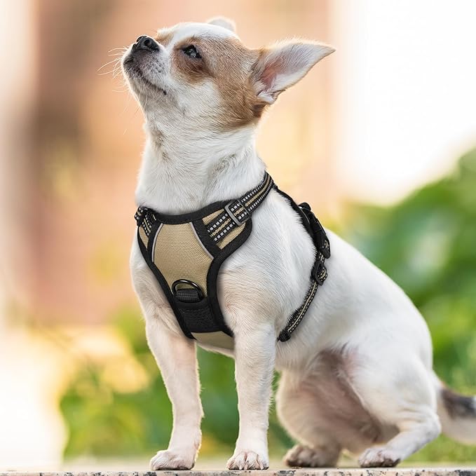 rabbitgoo Dog Harness No Pull with 2 Leash Clips, Adjustable Soft Padded, Reflective Oxford No Choke Pet Vest with Easy Control Handle for Puppy, Beige, XS rabbitgoo