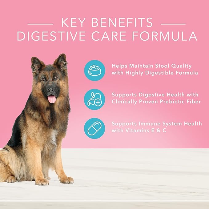 Blue Buffalo True Solutions Blissful Belly Digestive Care Natural Dry Food for Adult Dogs, Chicken, 4-lb Bag - PAWPICO