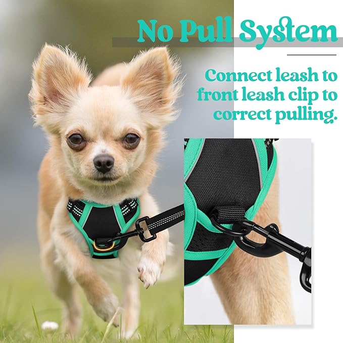 rabbitgoo Dog Harness, No-Pull Pet Harness with 2 Leash Clips, Adjustable Soft Padded Dog Vest, Reflective No-Choke Pet Oxford Vest with Easy Control Handle for Large Dogs, Black & Turquoise, X-Small - PAWPICO