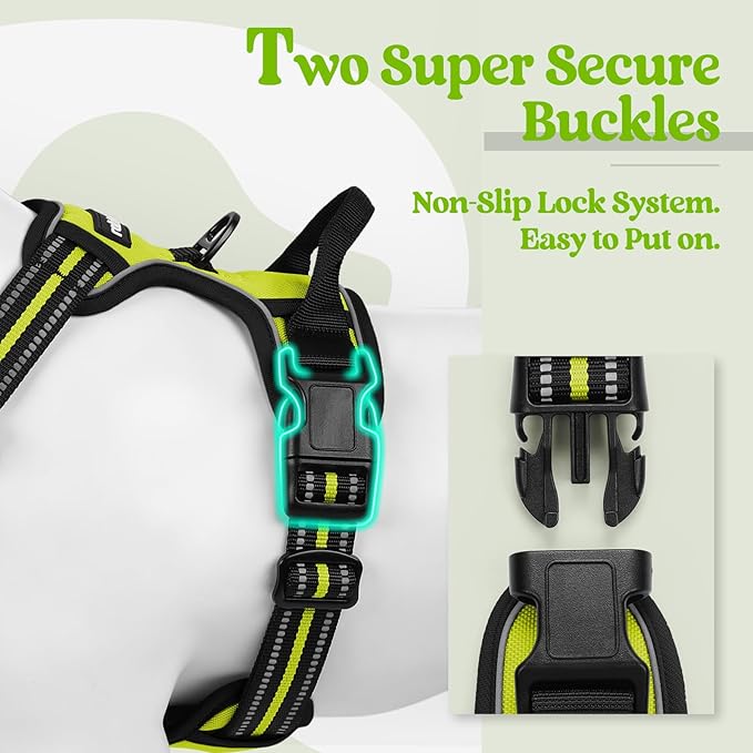 rabbitgoo Dog Harness No Pull with 2 Leash Clips, Adjustable Soft Padded, Reflective Oxford No Choke Pet Vest with Easy Control Handle for Small Dogs, Wild Lime,S rabbitgoo