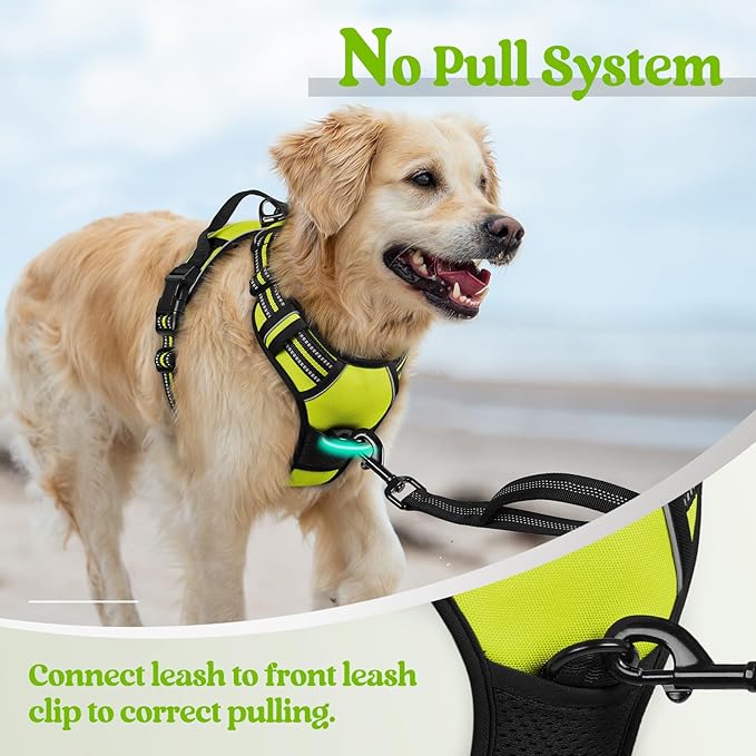 rabbitgoo Dog Harness No Pull with 2 Leash Clips, Adjustable Soft Padded, Reflective Oxford No Choke Pet Vest with Easy Control Handle for Small Dogs, Wild Lime,S rabbitgoo