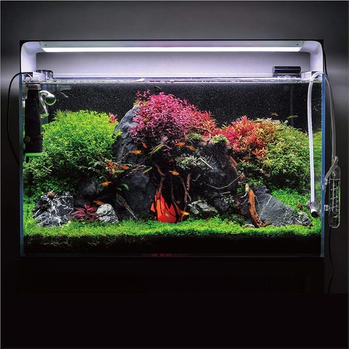 ONF Flat One+ 24-inch 24/7 Automated LED Aquarium Light, 6500-20500K Blue White LED, Mobile APP Remote Controlled, Dimmable Full Spectrum Sunrise/Sunset for Plant Growth, Hood Style for Fish Tank ONF