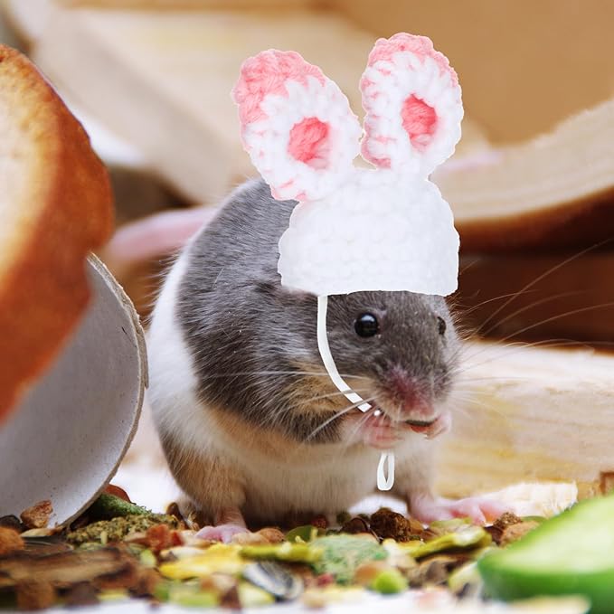 2 PCS Costume for Hamster Mini Knitted Pet Hats Mini Hats for Snakes Frog & Bunny Style Small Animals Cute Tiny Hat Knitted Small Animals Hat with Adjustable Strap for Guinea Pig Pets Holiday Party Xinjoduz
