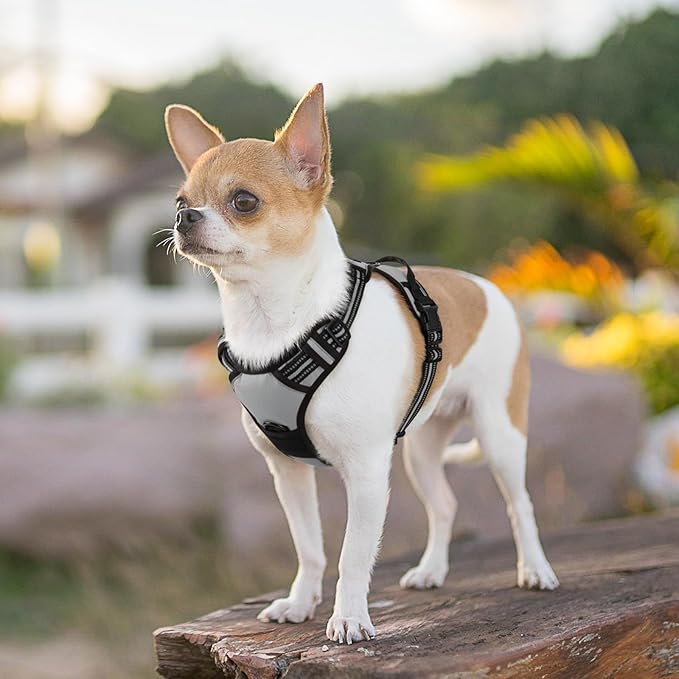 Eagloo Small Dog Harness No Pull, Service Vest with Reflective Strips and Control Handle, Adjustable and Comfortable for Easy Walking, No Choke Pet Harness with 2 Metal Rings, Grey, XS GoExplorewithEagloo