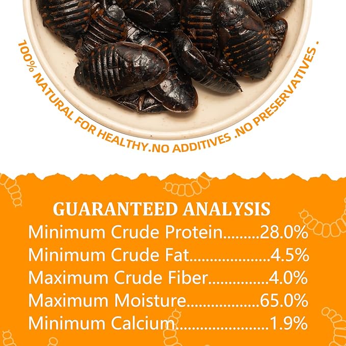 6 Pack Canned Dubia Roaches for Reptiles, Fish, Birds and Small Animals, Dubia Roaches, Healthy High Protein Treat, Reptile Bird Fish Food 7.2 Ounces Total Jadingfarm