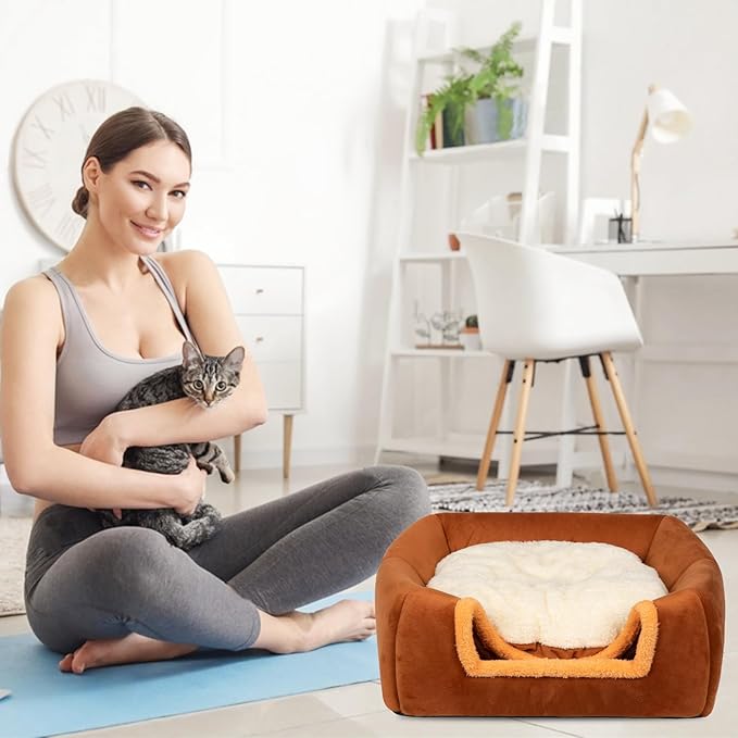 Cat Bed Cave for Indoor Cats,Cat House Tent Bed with Removable Washable Cushioned Pillow, 2-in-1 Kitten Beds for Indoor Kittens,Pet Bed - PAWPICO