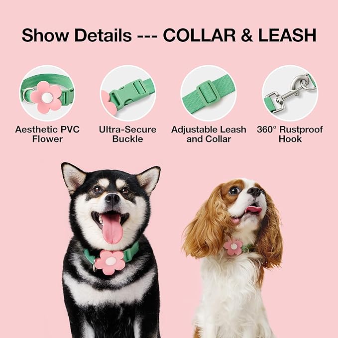 VETRESKA Flora Dog Harness, Leash and Collar Set, No Pull Dog Vest Harness for Walking and Training, Adjustable, Easy Control and Soft Padded Pet Harness and Backpack for Small Medium Large Dogs, M - PAWPICO