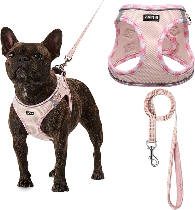 AMTOR Small Dog Harness with Leash Set, No Escape Easy Walk Puppy Harnesses for Training Walking, Step-in Reflective Soft Dogs Vest for XS S Medium Extra-Small Large Sized Dog(Pink,L) AMTOR