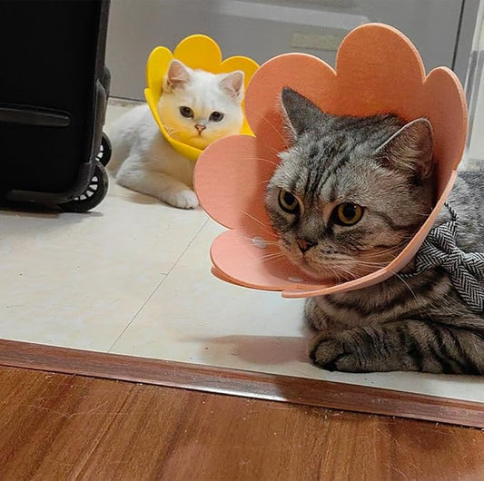 【4PCS】 Soft Cat Cone Collar,Adjustable Protective Collars for Pet Cat,Recovery cat E Collar, Anti-Bite Lick Wound Healing Soft cat Cones to Stop Licking cono para perro Cone for cat Cone Soft (M) MADCOAHLOO