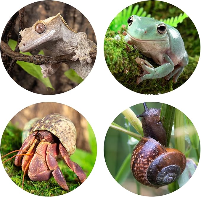 REPTI ZOO Reptile Hide, Multifunctional Reptile Hides with Suction Cup, Resin Reptile Hides, and Caves for Reptiles, Gecko, Lizard (Ganoderma Lucidum Shape) REPTIZOO