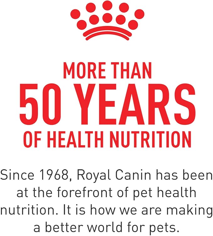 Royal Canin Yorkshire Terrier Adult 8+ Dry Dog Food for Aging Dogs - PAWPICO