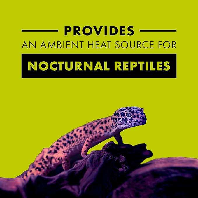 Zilla Incandescent Bulb, Night Black, Ideal for Nocturnal Reptile Species Zilla