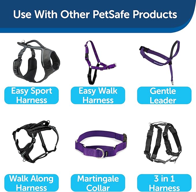 PetSafe Nylon Dog Leash – Strong, Durable, Traditional Style Leash with Easy to Use Bolt Snap – 3/4" x 6', Deep Purple PetSafe