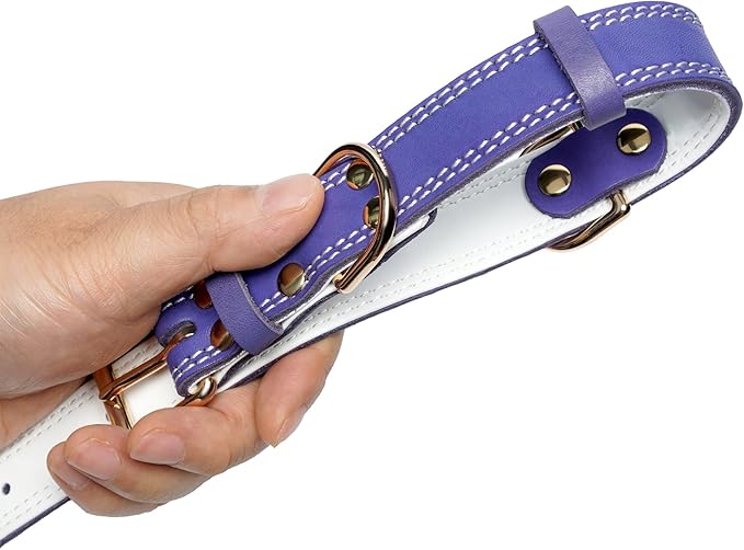 Genuine Leather Dog Collar, Heavy Duty Dog Collar, Wide Dog Collar for Small Dog, Medium Dog, Large Dog and Extra Large Dog (S: 0.8" Wide for 13.4"-15.8" Neck, Dual Stitch - Purple) DAIHAQIKO