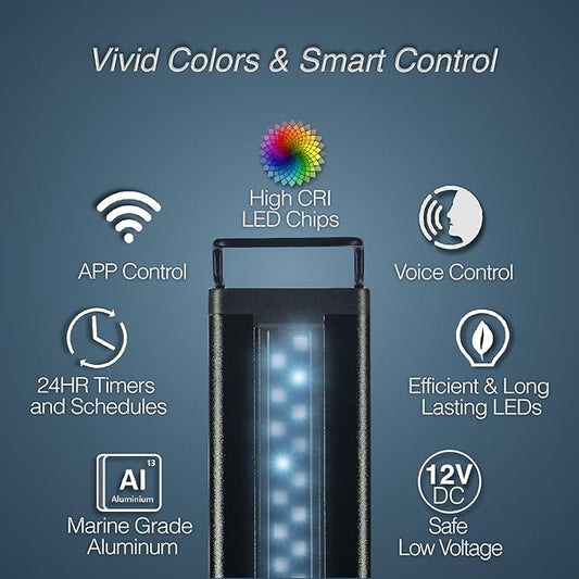 CURRENT USA ColorPlus Smart LED Aquarium Light 36 inch with App and Voice Control by Alexa & Google Home | Extra Vivid Colors for Freshwater Aquarium Fish Tank and Terrariums| Aluminum (36" to 48") Current+USA