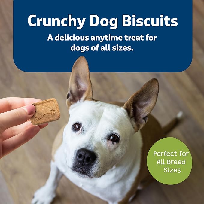Blue Buffalo Mini Health Bars Crunchy Dog Biscuits, Oven-Baked With Natural Ingredients, Apples & Yogurt, 2-lb Box - PAWPICO