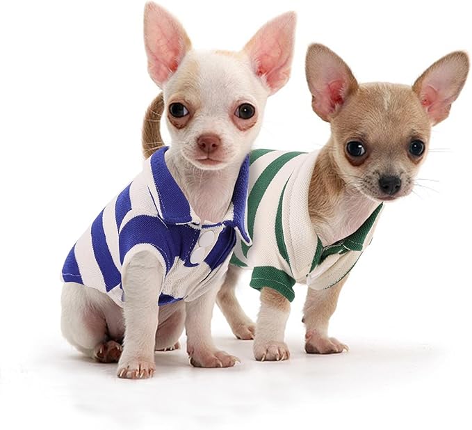 2 Pack Guinea Pig Clothes Rabbit Summer T-Shirt Pet Costume Vest for Small Animal Kitten Ferret Chihuahua Puppy KAMABRIDAL
