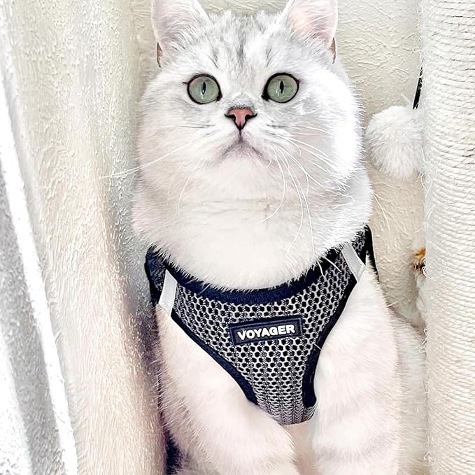 Voyager Step-in Air Dog Harness - All Weather Mesh, Reflective, No Pull Harness for Small, Medium Dogs, Cats - Secure with Hook & Loop Fastener, Buckle, Double D-Rings - Gray 2-Tone, M BestPetSuppliesLLC