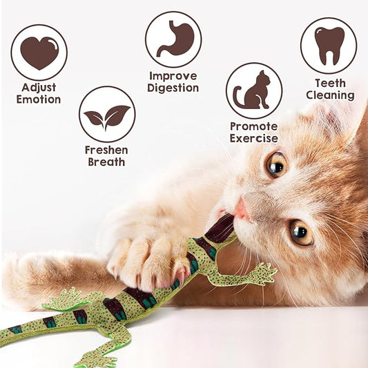 CiyvoLyeen Lizard Catnip Toys Chew Bite Resistant Toys for Indoor Cats Boredom Relief Teeth Cleaning Interactive Funny Cute Kitten Cat Lover Gifts Christmas Birthday Presents Set of 4 - PAWPICO