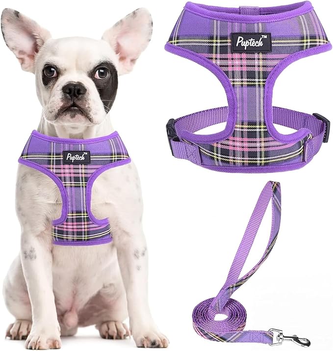 PUPTECK Soft Mesh Dog Harness and Leash Set Pet Puppy Cat Comfort Padded Vest No Pull Harnesses, Purple, M PUPTECK