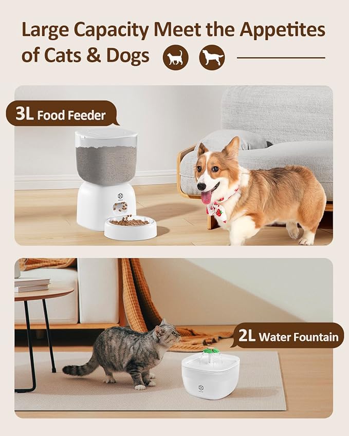 Automatic Cat Feeder and Water Dispenser Set with Pet Food Bowl Timer, Dual Power Supply, Programmable Portion Size, Auto Pet Feeder for Cats and Small Dogs, Voice Recorder, White - PAWPICO
