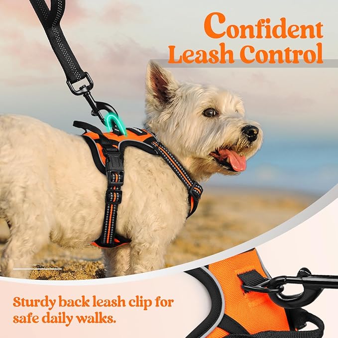 rabbitgoo Dog Harness No Pull with 2 Leash Clips, Adjustable Soft Padded, Reflective Oxford No Choke Pet Vest with Easy Control Handle for Puppy, Orange,XS rabbitgoo