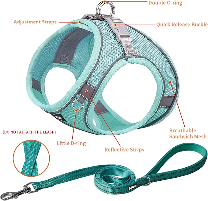AIITLE Dog Harness, Spring No-Pull Cat Harness with a Leash, Adjustable Reflective Dog Vest, Cat Harness Escape Proof, Outdoor Walking, Camping for Extra Small Dogs and House Cats Pure Turquoise XXXS AIITLE-FORPETSBETTERLIFE