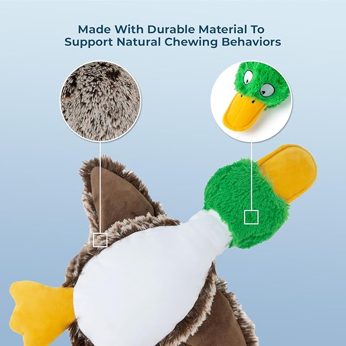 Best Pet Supplies Interactive Mallard Mates Dog Toy with Crinkle and Squeaky Enrichment for Small and Medium Breed Puppies or Dogs, Cute and Plush - Mallard Duck (Gray), Small - PAWPICO