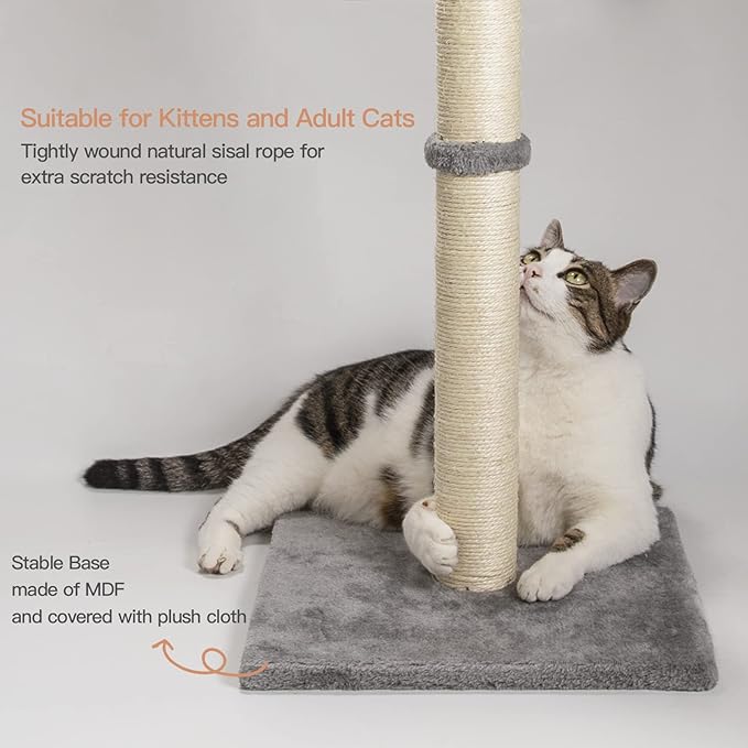 29 Inches Cat Scratching Post, Cat Scratch Post Kitten Scratcher with Sisal Rope, Scratching Post for Indoor Cats with Hanging Ball - PAWPICO