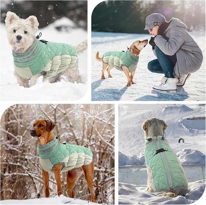 FUAMEY Dog Winter Jacket,Dog Cold Weather Coats Paded Dog Vest with Harness Built in Pet Warm Clothes Dog Apparel with Back Zipper Dog Water Resistant Coat for Small Medium Large Dogs Mint Green S - PAWPICO
