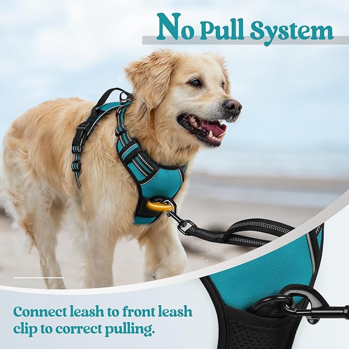 rabbitgoo Dog Harness No Pull with 2 Leash Clips, Adjustable Soft Padded, Reflective Oxford No Choke Pet Vest with Easy Control Handle for Medium Sized Dogs, Teal, M rabbitgoo