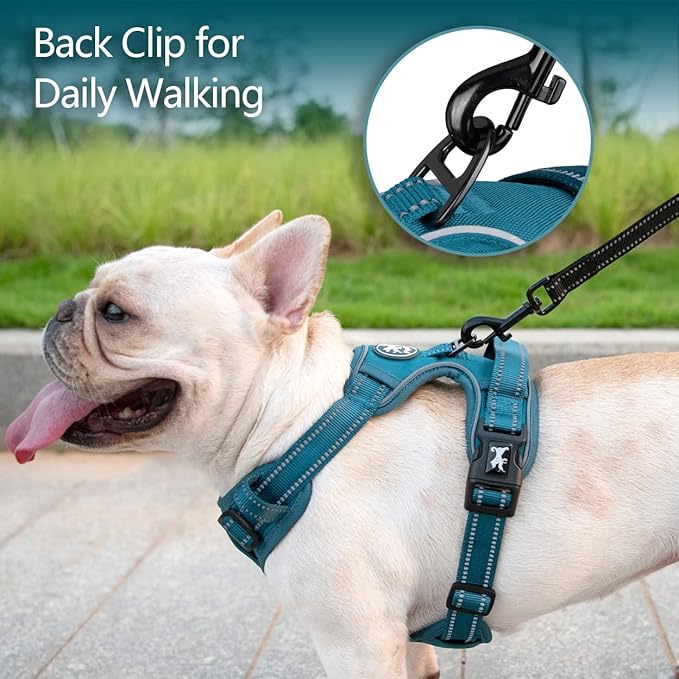 PoyPet No Pull Dog Harness, No Choke Reflective Dog Vest, Adjustable Pet Harnesses with Easy Control Padded Handle for Small Medium Large Dogs(Tumalo Teal,L) PoyPet