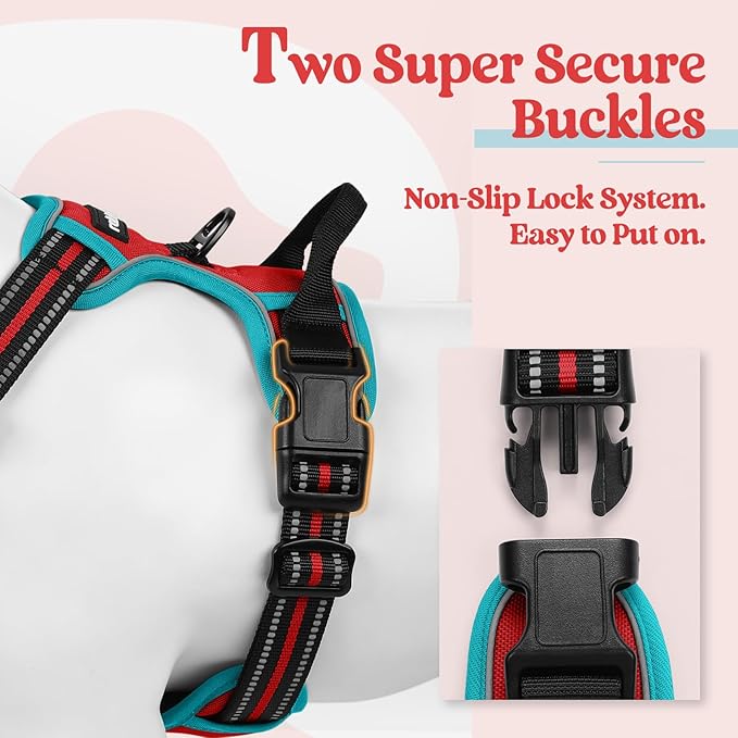 rabbitgoo Dog Harness No Pull with 2 Leash Clips, Adjustable Soft Padded, Reflective Oxford No Choke Pet Vest with Easy Control Handle for Medium Sized Dogs, Red & Teal, M rabbitgoo