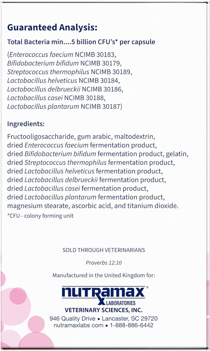 Nutramax Proviable Digestive Health Supplement Multi-Strain Probiotics and Prebiotics for Cats and Dogs - with 7 Strains of Bacteria, 80 Capsules, blue NutramaxLaboratories