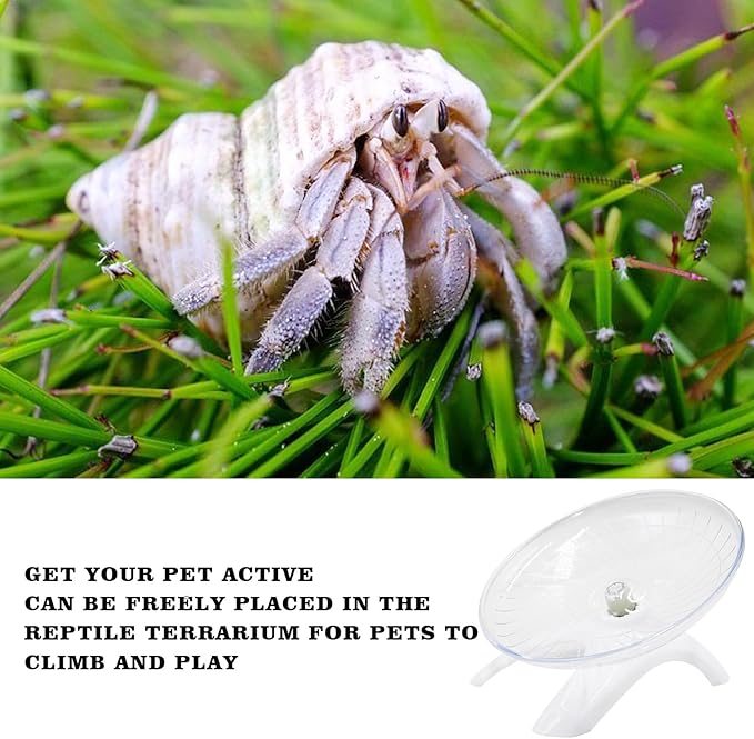 Hermit Crabs Wheel Toy, Hamster Running Wheel Toys, Small Animals Cage Accessory, Tank Accessory, Suitable for Hermit Crab Hamster Rat Oooct