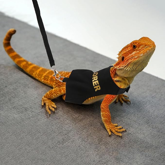 Hypeety Bearded Dragon Harness and Leash Set Adjustable Escape Proof Leash Outdoor Walking Training Leash and Harness for Bearded Dragon Lizard Reptiles Small Pets Black (Explorer) Hypeety