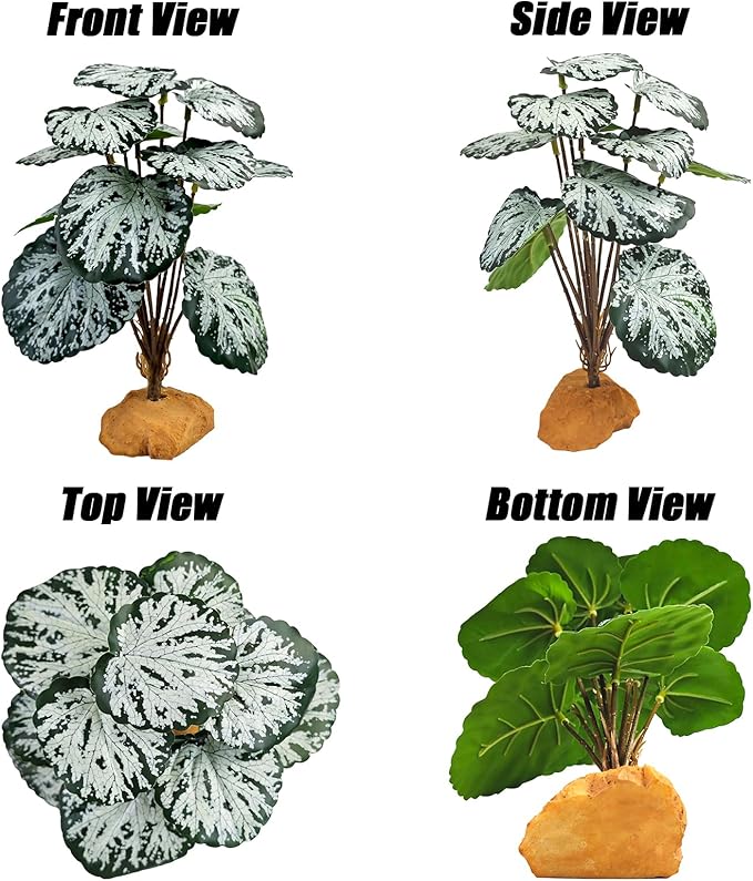 Woyrise Reptile Artificial Plants for Terrarium Decor, Amphibian Habitat Decorations Bearded Dragon Tank Accessories fit Crested Gecko Leopard Lizard Chameleon Snake Frog - Fake Spots Heuchera Woyrise