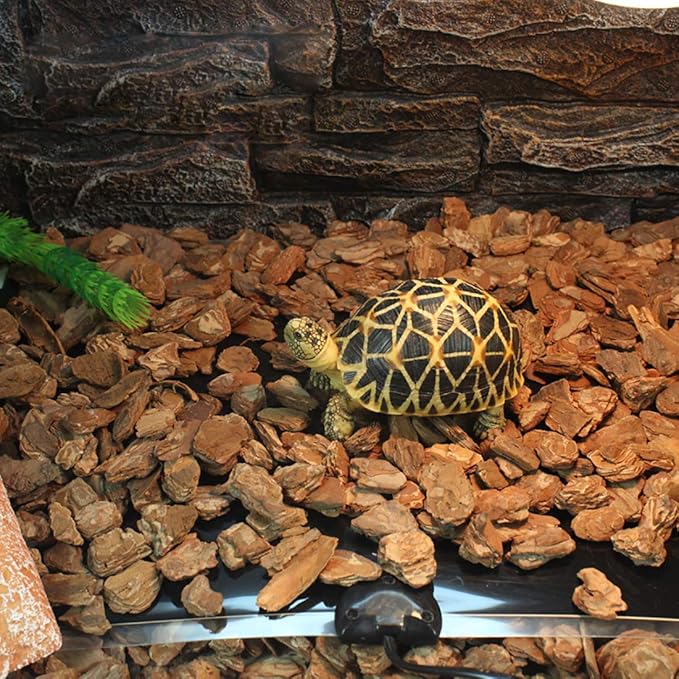 MQ Reptile Terrarium Heat Pad with LCD Digital Aquarium Thermometer, 6 x 11in Power Adjustment Under Tank Heater Mat for Pets, Small Animals, Seedling, 7W MQ