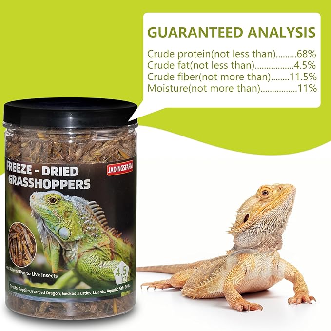 Freeze Dried Grasshoppers – 4.5 Oz High Protein Freeze Dried Grasshoppers Food for Reptiles, Bearded Dragons Lizards, Geckos, Birds, Hedgehogs Jadingfarm