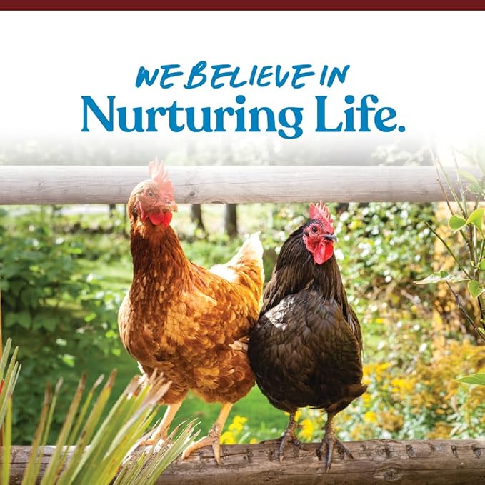 Manna Pro Crushed Oyster Shell | Egg-Laying Chickens | 5 LB MannaPro