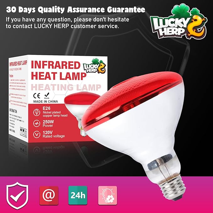 LUCKY HERP Infrared Heat Lamp for Chickens - 250 Watts Red Heat Lamp Bulb 1 Pack, Heat Light Bulb for Brooder Coop, Food Service, Chicks, Pet, Reptile LUCKYHERP