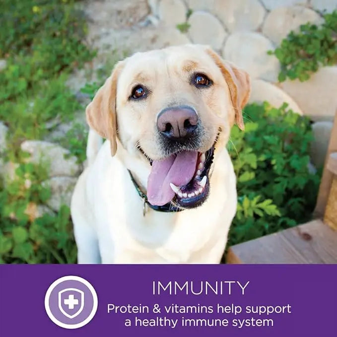 Wellness Complete Health Dry Dog Food with Grains, Natural Ingredients, Made in USA with Real Meat, All Breeds, For Adult Dogs (Healthy Weight - Chicken & Potatoes, 5-Pound Bag) - PAWPICO