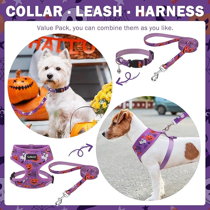 SCENEREAL Small Dog Harness Collar and Leash Set, Adjustable No Pull Pet Harnesses, No Chock Soft Mesh Step in Vest Halloween Costume for Doggie Puppy Dogs Cats Girl Boy Outdoor Walking - PAWPICO