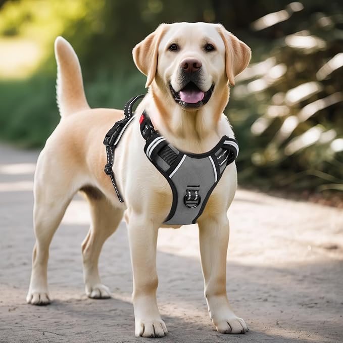 Timos Dog Harness Large Sized, No Pull Dog Harness with Neck Lockable Snap,No Choke Front Clip Dog Reflective Harness,Adjustable Metal Rings 3 Buckles,Easy Control Handle for Large Dogs Gray L Timos