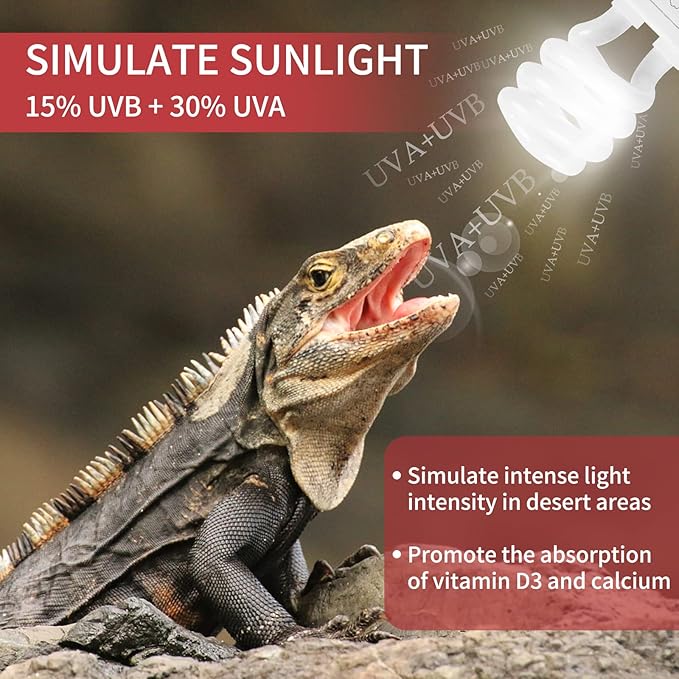 LUCKY HERP 13W UVB 15.0 Intense UVA UVB Compact Flouorescent Lamp Desert Terrarium Light Bulb for Reptile and Amphibian LUCKYHERP