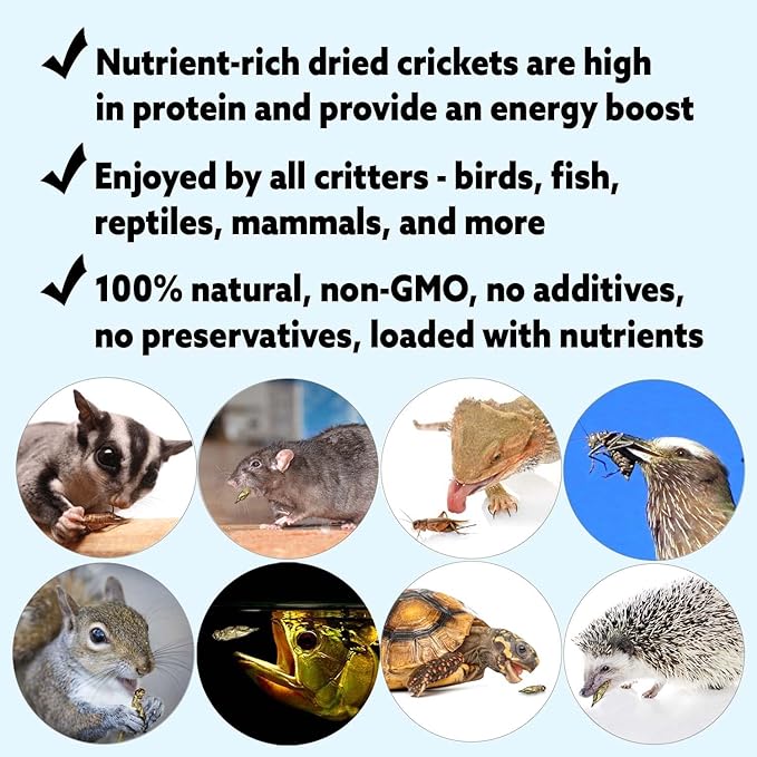 1.5 Pound Dried Crickets - High Protein Insect Treat - Chickens, Wild Birds, Hedgehogs, Bluebirds, Reptiles, Sugar Gliders, Opossums, Skunks, Lizards, Bearded Dragons, Fish, Turtles 8 oz. (3 Pack) ExoticNutrition