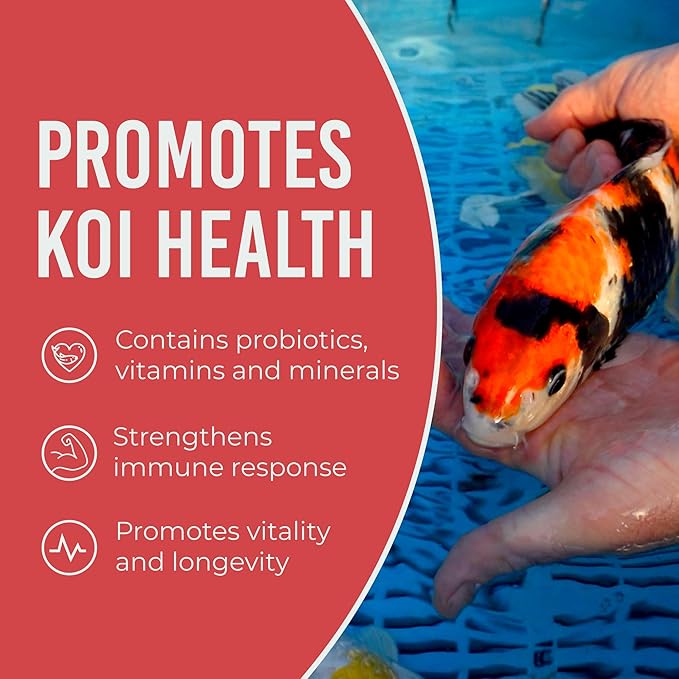 Blue Ridge Koi Fish Food 4.5lb - Koi Food 3/16” Platinum Pro Formula Goldfish Food, Premium Fish Food for Ponds, Floating Pond Pellets Fish Food BlueRidgeFishHatchery