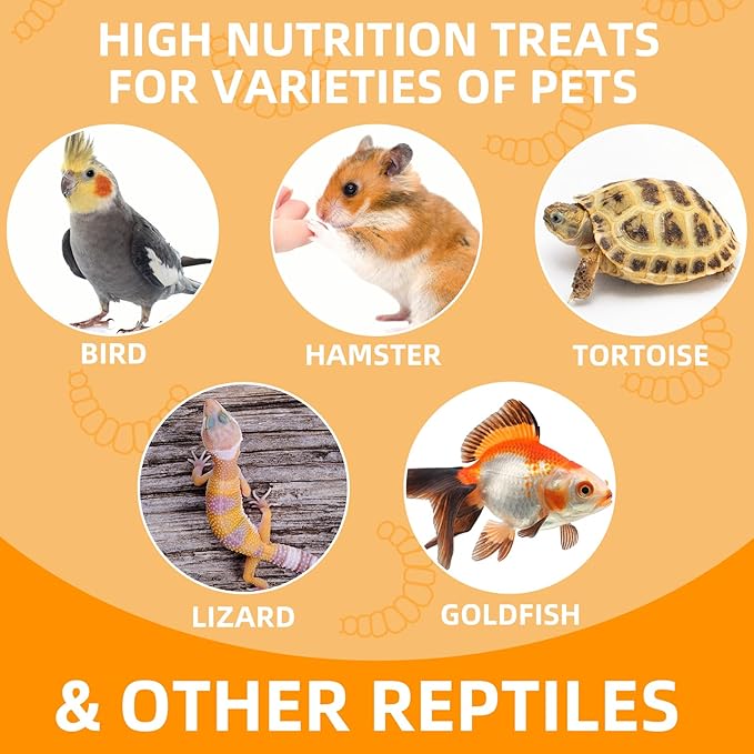 6 Pack Canned Mealworms for Reptiles, Fish, Birds and Small Animals, Meal Worms, Healthy High Protein Treat, Reptile Bird Fish Food 7.2 Ounces Total Jadingfarm