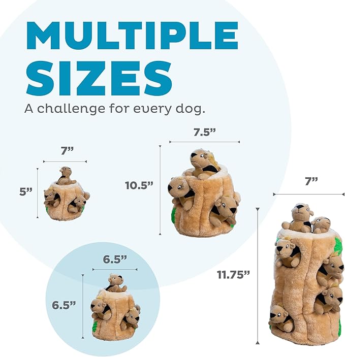 Outward Hound Hide A Squirrel Plush Dog Toy Puzzle, Medium - PAWPICO