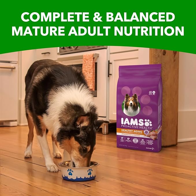 IAMS Proactive Health Healthy Aging Adult Dry Dog Food for Mature and Senior Dogs with Real Chicken, 7 lb. Bag - PAWPICO